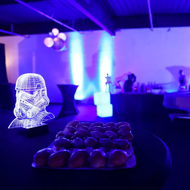 ECLAIRAGE-SALLE-9_Img_Produits_LagonBleuAnimations